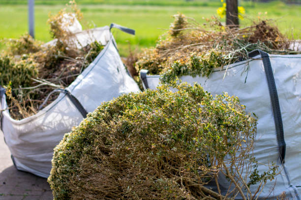 Best Furniture Removal  in Elburn, IL